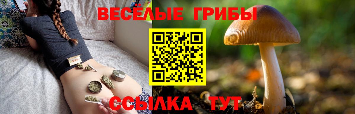 Галлюциногенные грибы Cubensis  Вход с VPN  Шали 