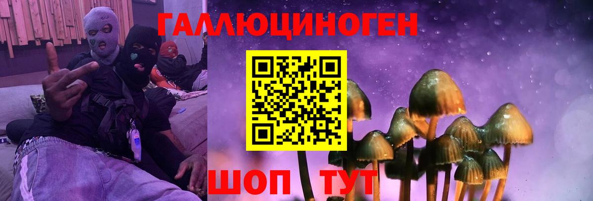 Псилоцибиновые грибы мухоморы Шали